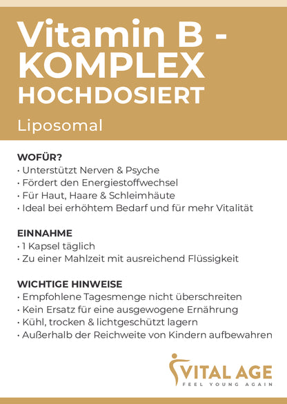 B-Komplex hochdosiert