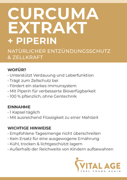 Curcuma Extrakt + Piperin | 90 Kapseln