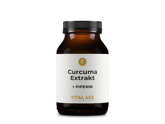 Curcuma Extrakt + Piperin | 90 Kapseln